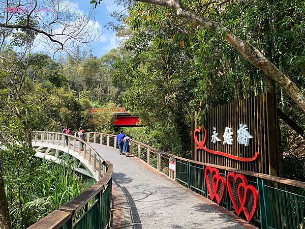 南投魚池景點-日月潭環潭自行車道，來感受被評比為世界十大最美之一的自行車道 @果果愛Fruitlove