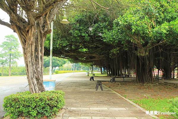 彰化景點-溪州公園親子草地野餐、餵魚，賞花，還有滿滿芬多精的森林步道 @果果愛Fruitlove