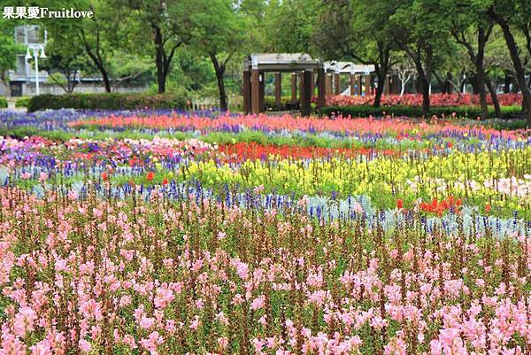 彰化景點-溪州公園親子草地野餐、餵魚，賞花，還有滿滿芬多精的森林步道 @果果愛Fruitlove