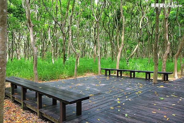 彰化景點-溪州公園親子草地野餐、餵魚，賞花，還有滿滿芬多精的森林步道 @果果愛Fruitlove